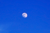 фото луны