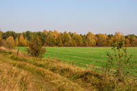 фото про осень красивое