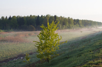 фото весеннего пейзажа